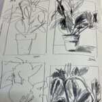 daily drawing thumbnail exercises in pencils of a plant
